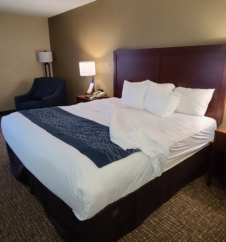 拉格兰奇快捷假日酒店主图