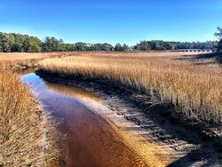 Vereen Memorial Historical Gardens-Little River必去景点