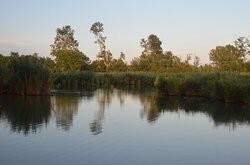 Oasi Naturale di Torre Abate景点图片