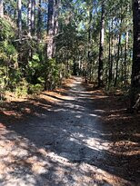 Vereen Memorial Historical Gardens-Little River必去景点