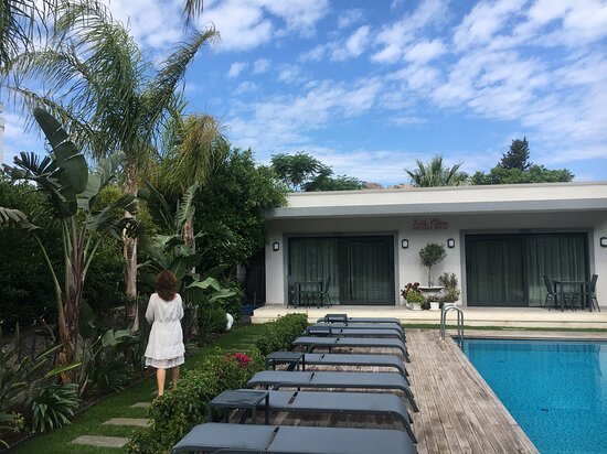 Villa Oliva Butik Hotel-泳池