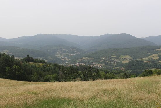 Parco Nazionale delle Foreste Casentinesi, Monte Falterona e Campigna景点图片