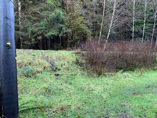 Kagan Bay Recreation Site-Daajing Giids必去景点