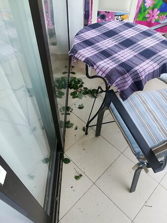 Porfi Beach Hotel主图