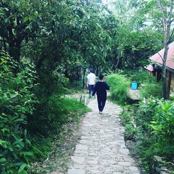 Mountain Quail Lodge-官方