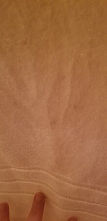 Days Inn by Wyndham Norton主图