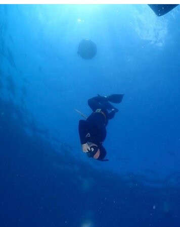 Life Aquatic Freediving and Yoga School-卡斯必去景点