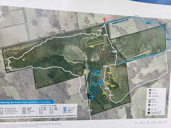 Nottawasaga Bluffs Conservation Area景点图片