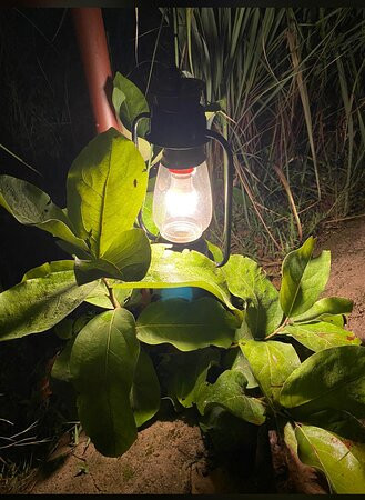 Tathastu Kanha主图