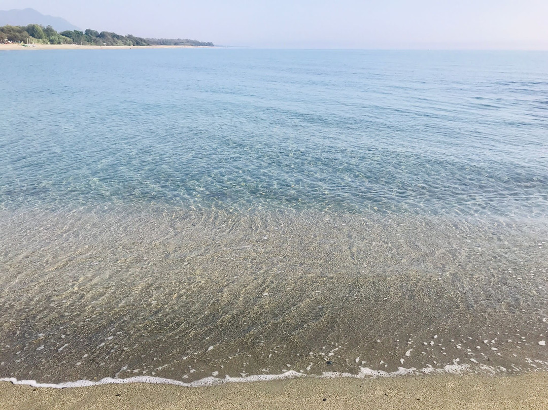 Les Jardins De La Mer