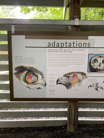 Vermont Institute of Natural Science - VINS-Quechee必去景点