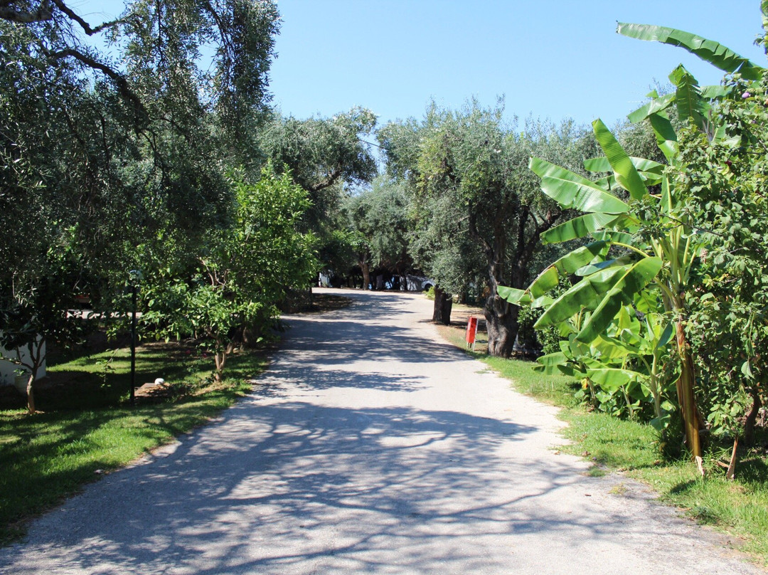 Corali Camping