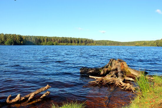 National Park Shhuchye Lake-Komarovo必去景点