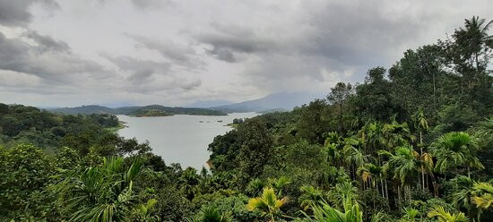 Bonita Banasura主图