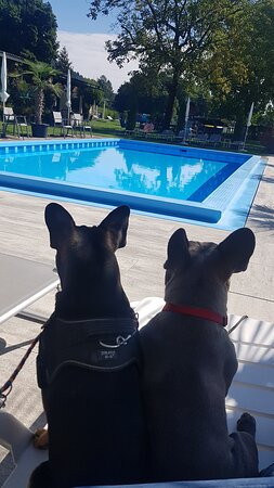 Pension Seehof主图