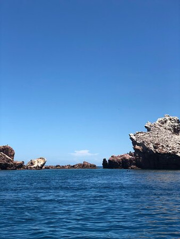 Lobitos Seafari-拉巴斯必去景点