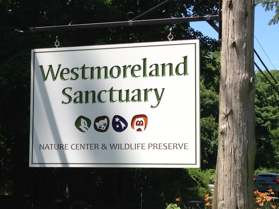 Westmoreland Sanctuary景点图片