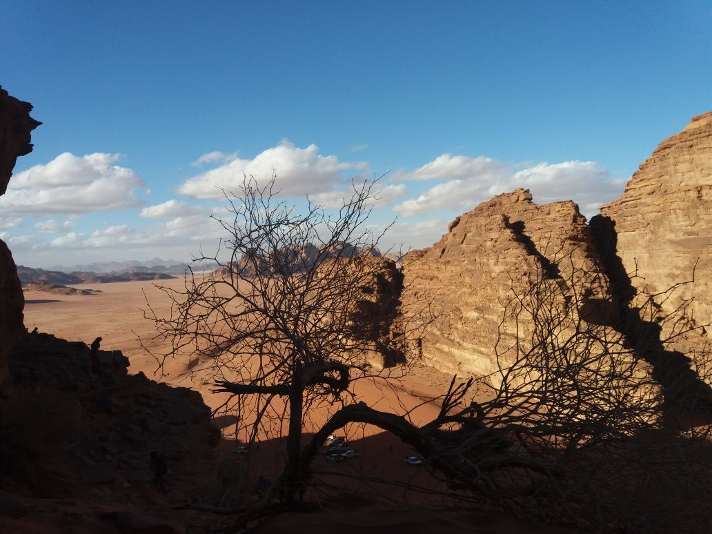 Wadi Araba Desert景点图片