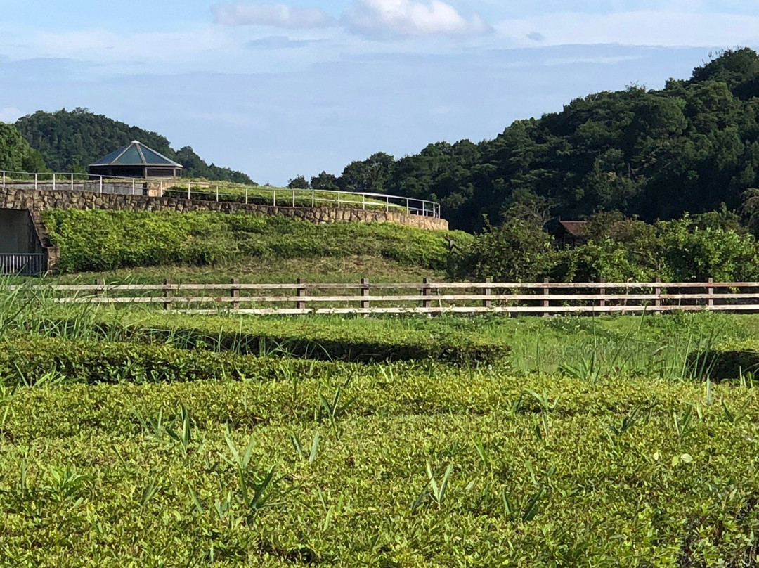 Tamaoka Historic Park-加西市必去景点