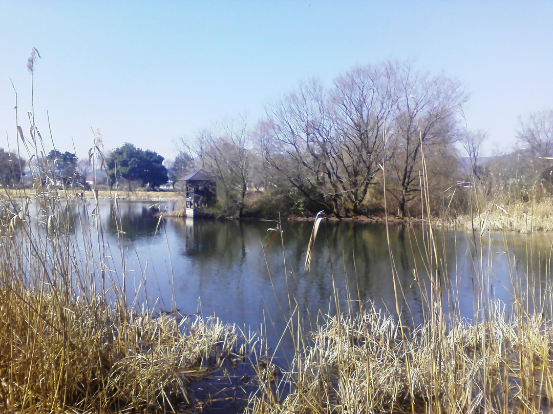 Shinasahi Waterfowl Center景点图片