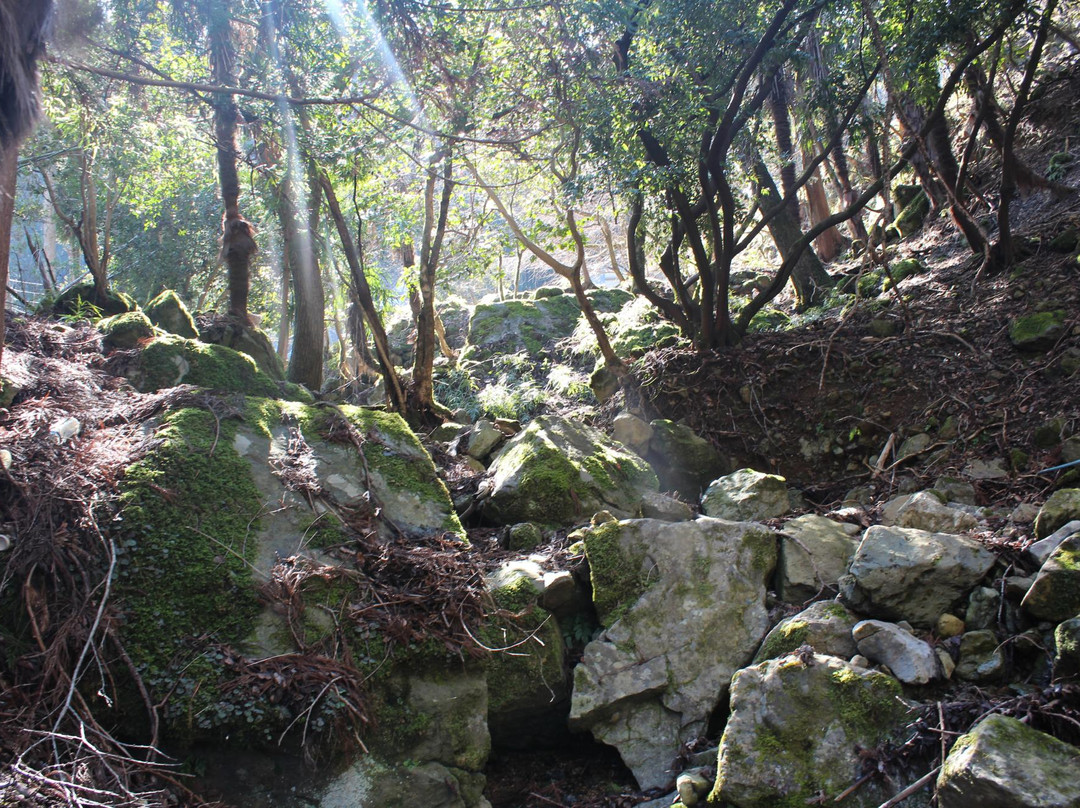 Shimootomi Waterfall景点图片