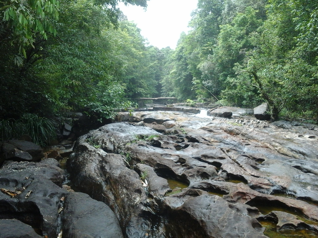 Makandawa Forest Reserve景点图片