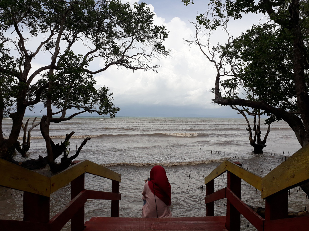 Ekowisata Magrove景点图片