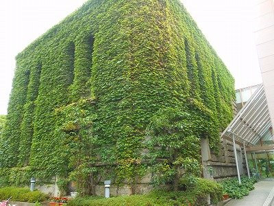 Ashiya City Library Uchide-芦屋市必去景点
