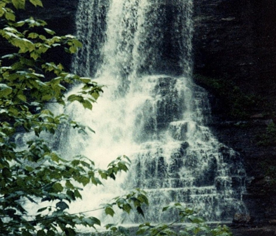 Montgomery旅游攻略图片