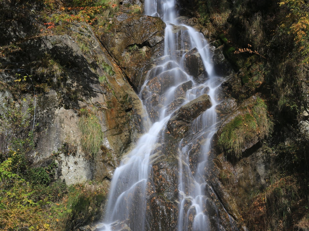 null-中川村