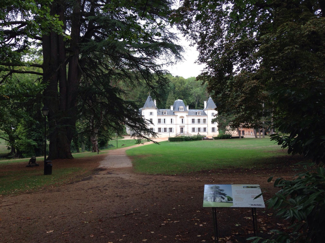 Parc du Château d'Aine景点图片