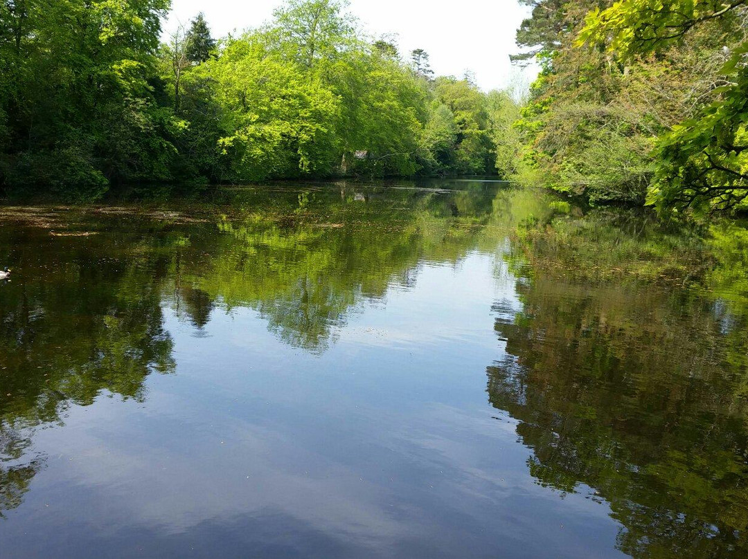 Rathfarnham旅游攻略图片
