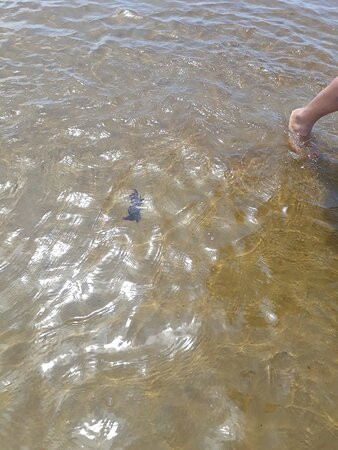 Itaguare-Bertioga必去景点