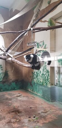 Topeka Zoo and Conservation Center-托皮卡必去景点