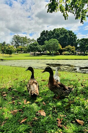 Lake Alford Park景点图片