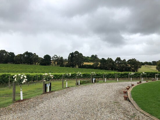 Yarra Valley Private Winery Tours-亚拉河谷必去景点