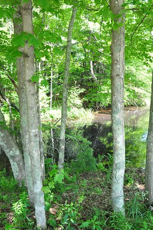 Wile Carding Mill Museum-Bridgewater必去景点