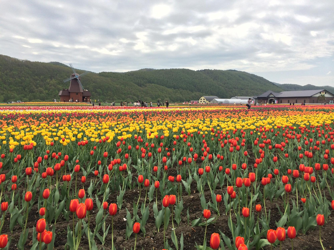 涌别町旅游攻略图片
