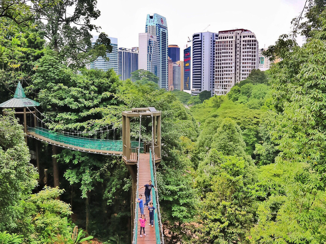 咖啡山森林保护区-吉隆坡必去景点