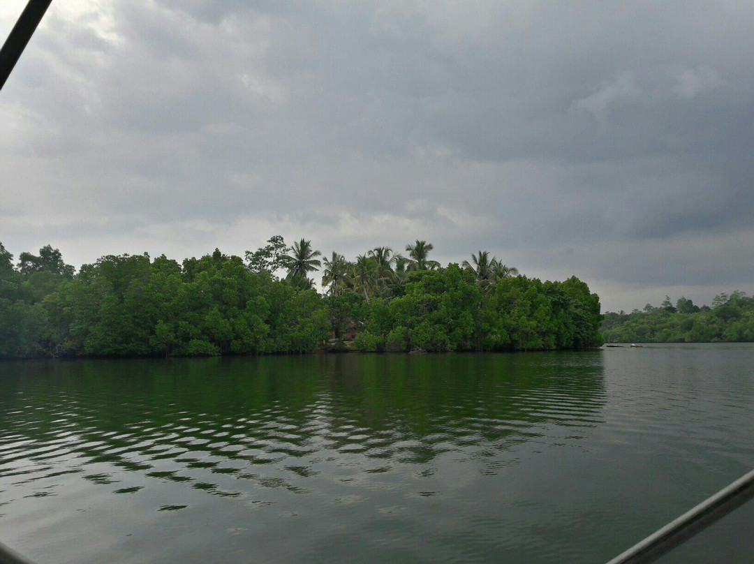 Koggala Lake景点图片