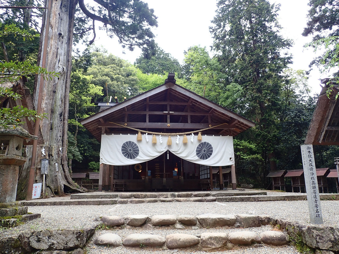 Moto Isenaigu Kotai Shrine景点图片