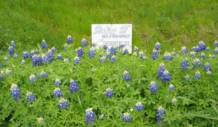 Rocking H Bed and Breakfast-官方