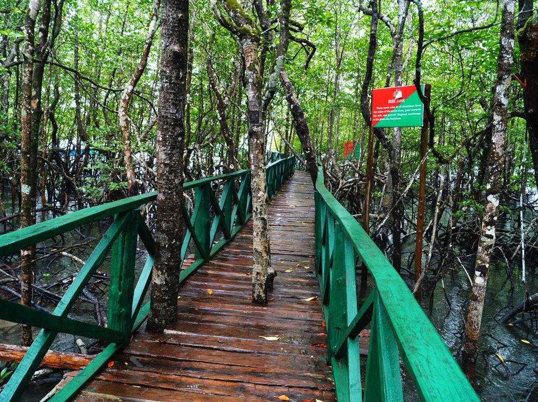 null-Baratang Island