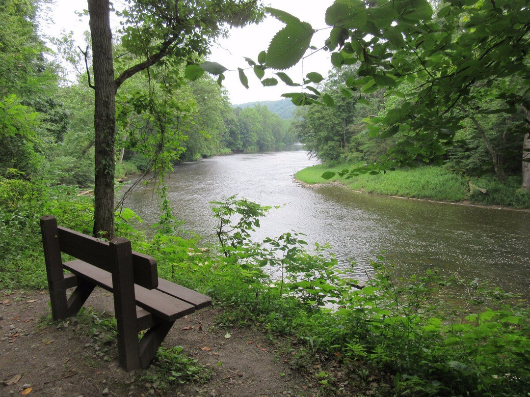 Oil City旅游攻略图片