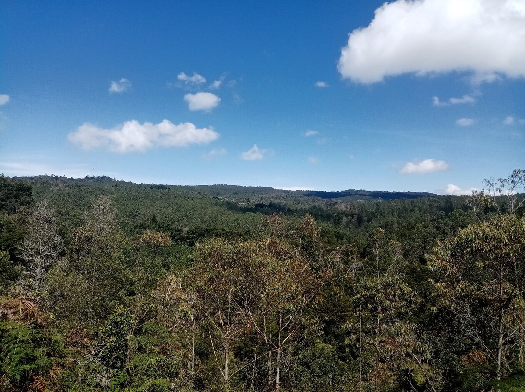 Parque Comfama Arví景点图片