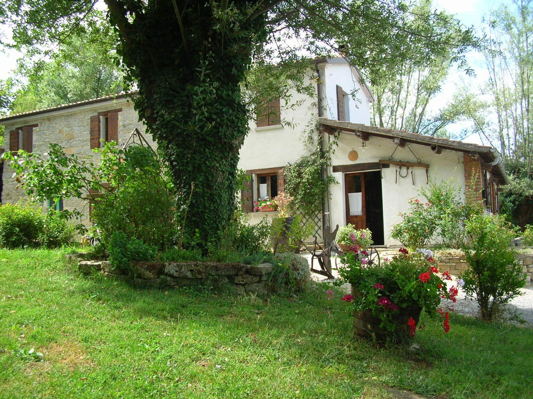 B&B Ca'del Gallo