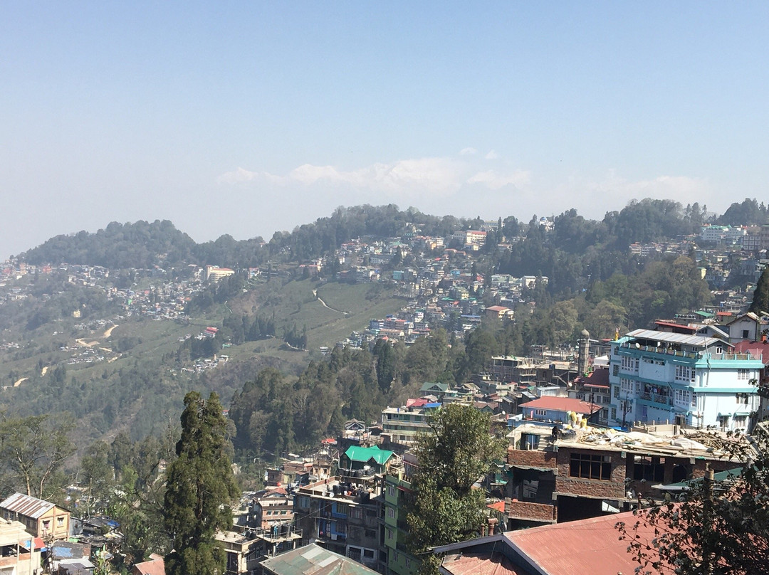 Darjeeling Himalayan Railway景点图片