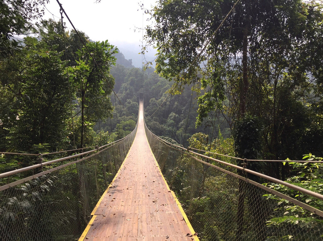 Situgunung Susppension Bridge-苏加武眉必去景点