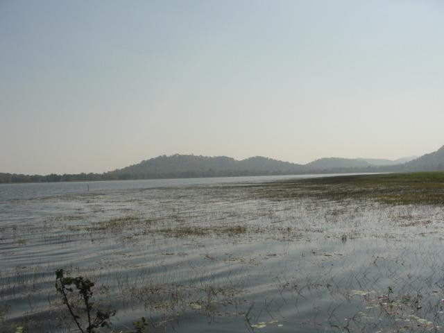 Navegaon National Park景点图片
