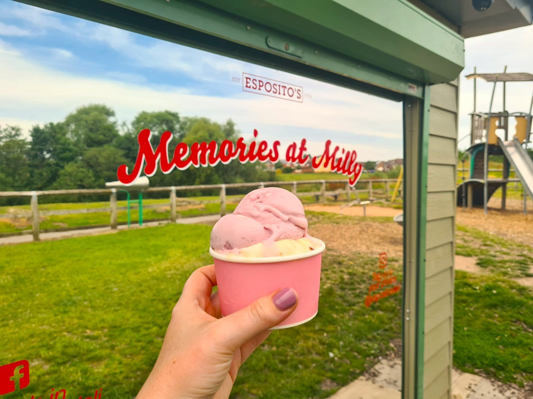 Esposito's - Mill Dam Park Kirkby